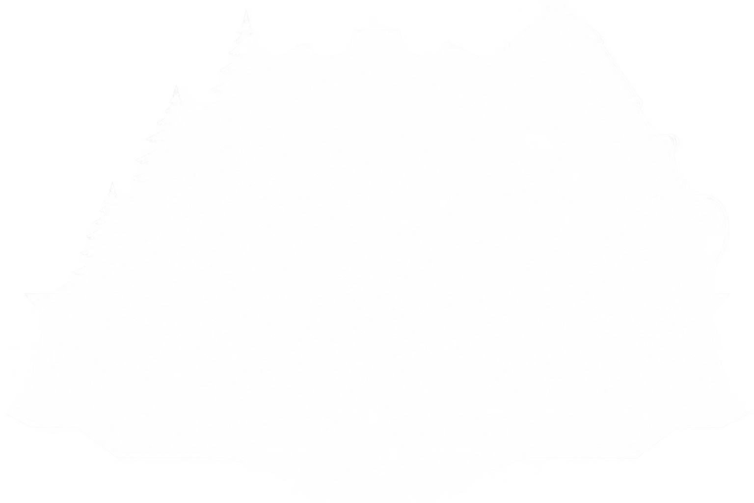 IronPine Excavation & Utilities LLC